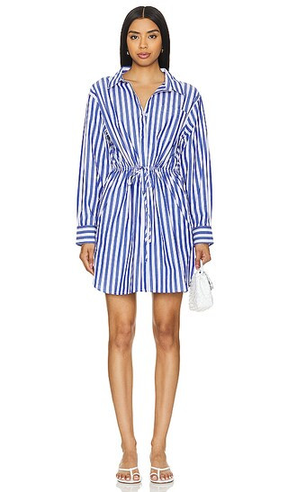 Rani Dress in Blue & White | Revolve Clothing (Global)