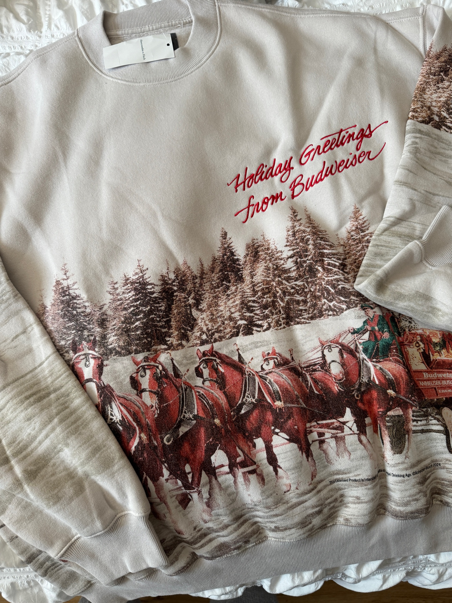 the viral Abercrombie holiday crewneck!!!❤️🎅🏻🎄✨🫶🏻

#LTKHoliday #LTKFindsUnder100 #LTKSeasonal