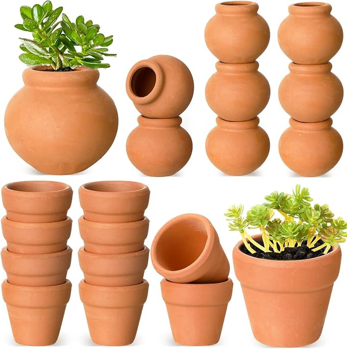 Gerrii 20 Pcs 0.9'' 1.2'' Terracotta Pot Small Mini Clay Tiny Flower Pots with Drainage Hole Pott... | Amazon (US)