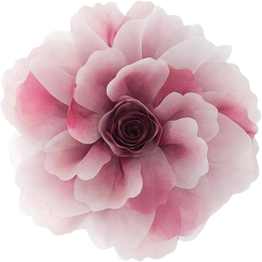 OiseauVoler | Amazon (US)