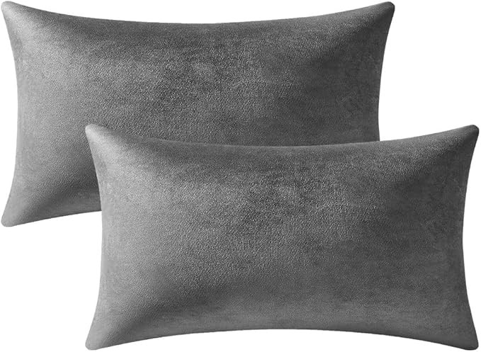 Throw Pillow Covers 12x20 Dark-Grey: 2 Pack Cozy Soft Velvet Rectangular Decorative Pillow Cases ... | Amazon (US)