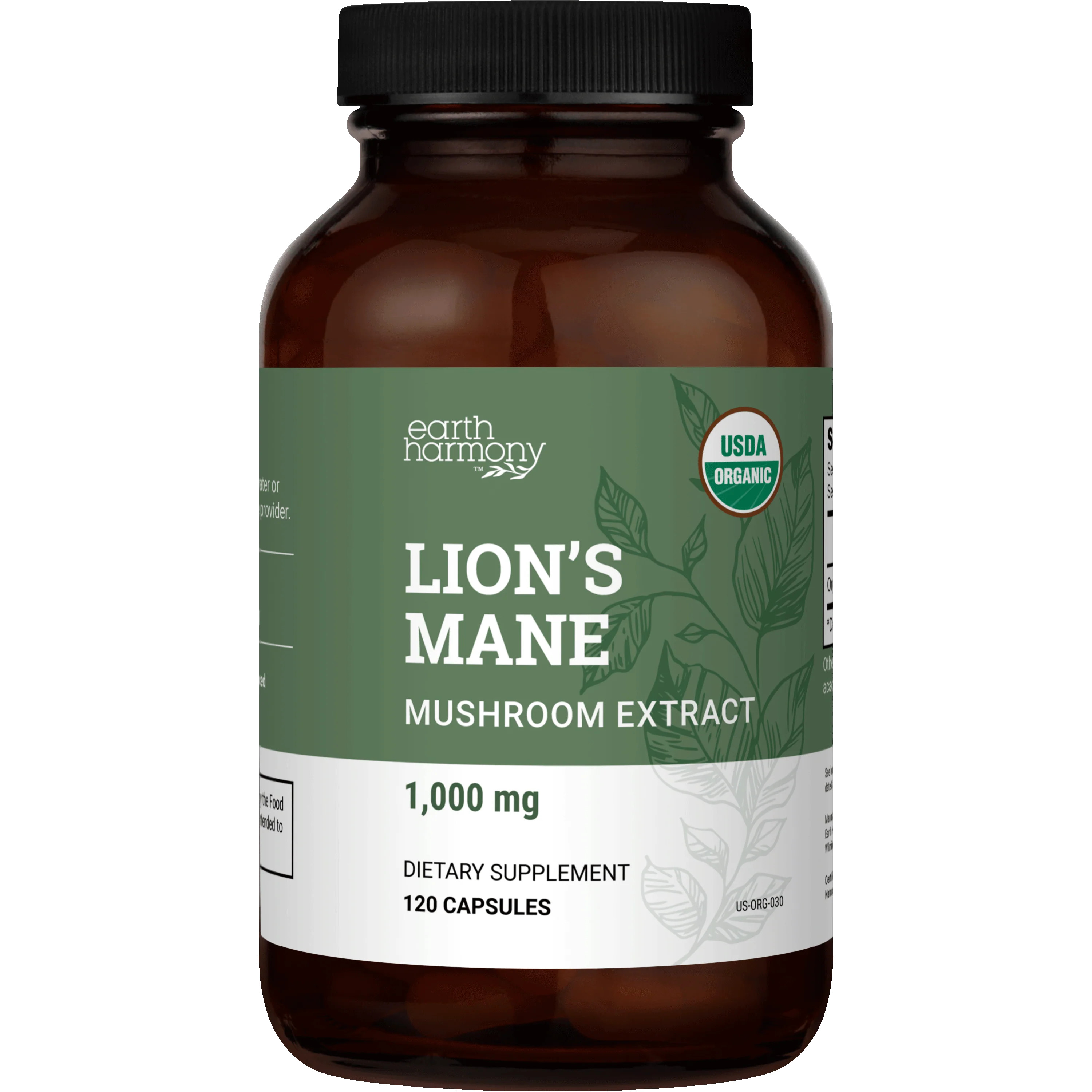 Lion's Mane | Earth Harmony Naturals LLC