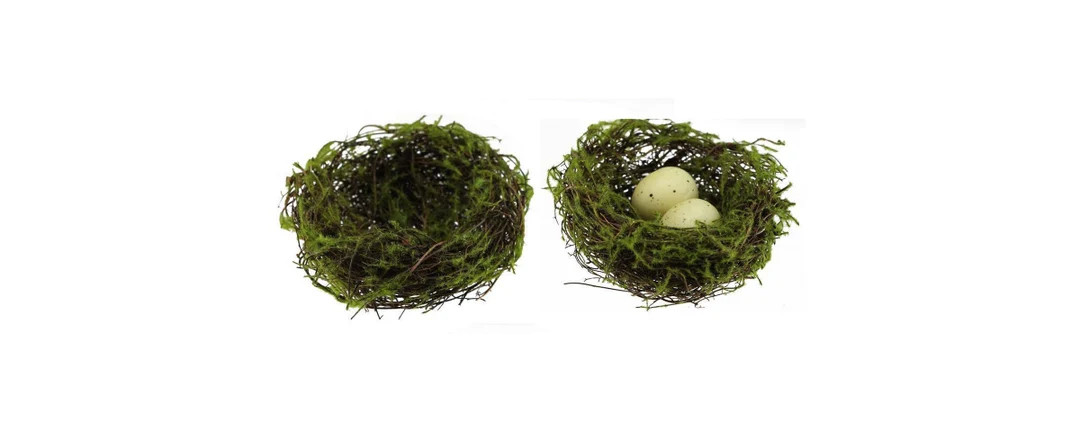 4" Decorative Bird Nest Natural Angel Vine and Moss, Eggs Optional, DIY Spring Easter Decor, Flor... | Etsy (US)