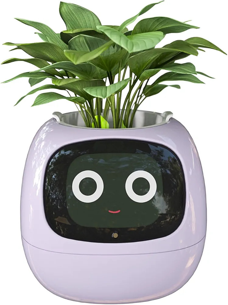 Masdio Smart Flowerpots, with Artificial Intelligence, Time Temperature Display, and Numerous Exp... | Amazon (US)