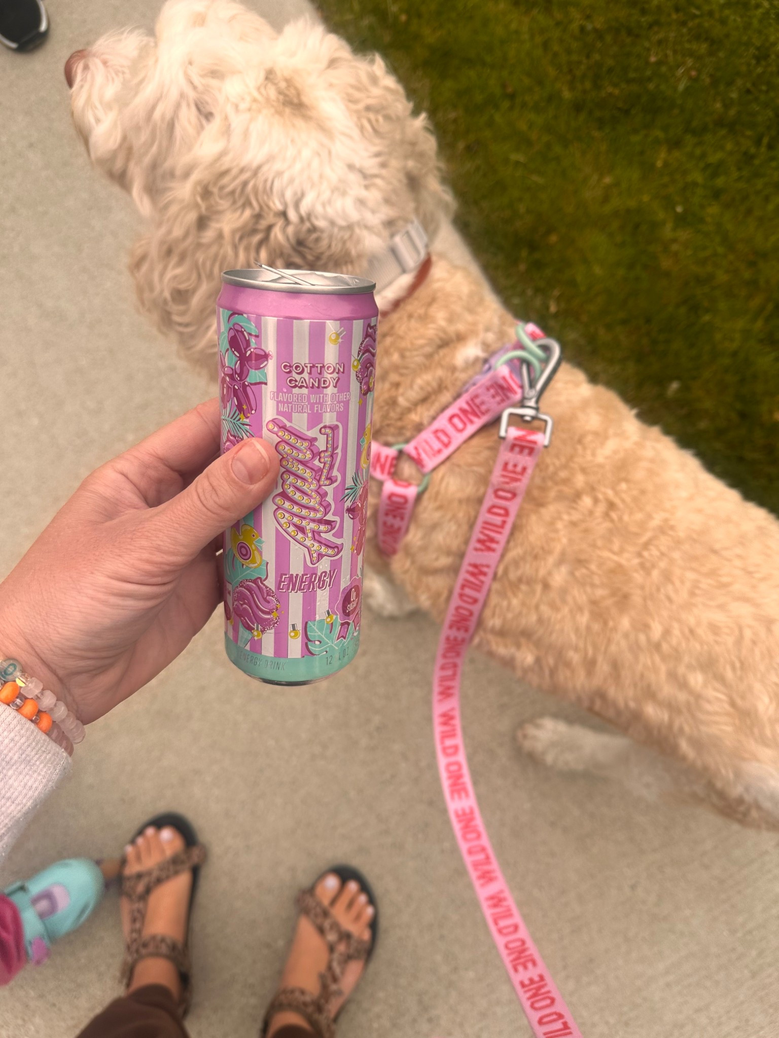 When your summer vibe is cotton candy 😆✨

#LTKPets #LTKActive