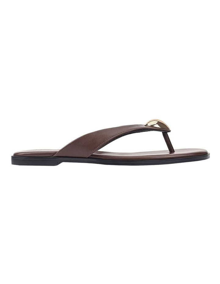 Sara Casual Thongs in Chocolate Brown | Myer