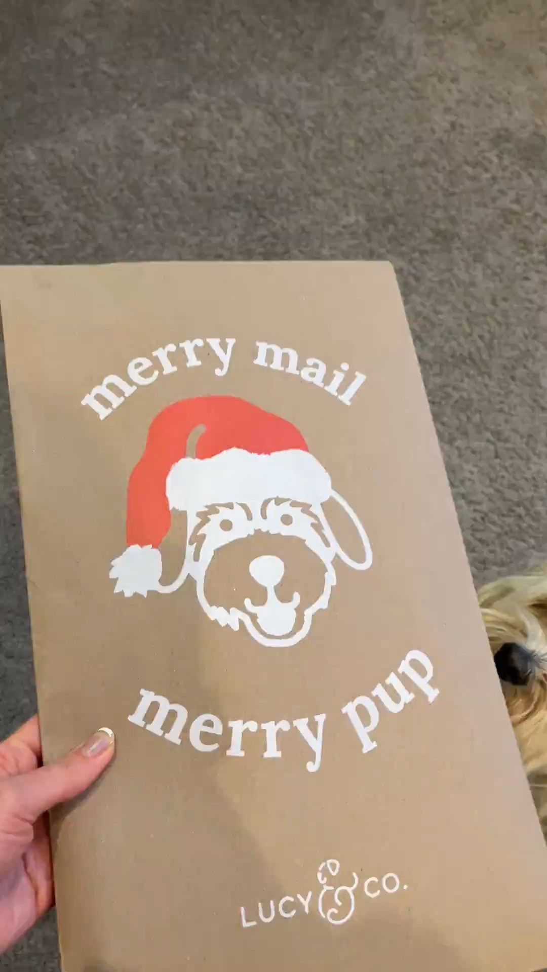 Fun dog harnesses for your doggo 🐶 CODE: HONEYBOOTHECAVAPOO to save 💰

#LTKSeasonal #LTKGiftGuide #LTKHoliday