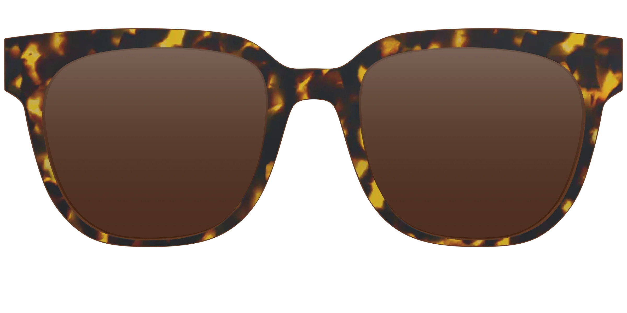 The Tortoise Sun Top | Pair Eyewear