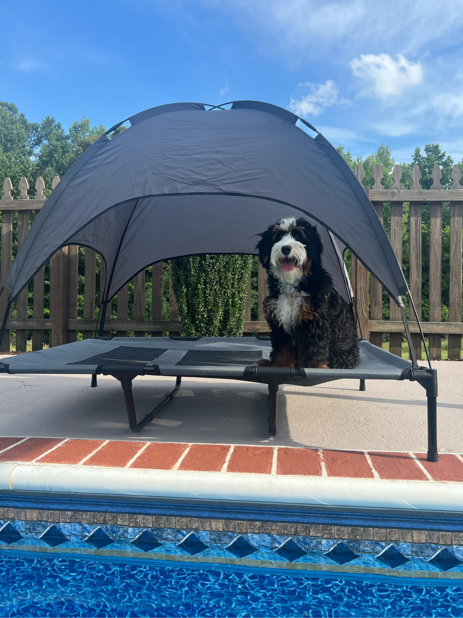 Outdoor Dog bed with shade tent 

#LTKswim #LTKsalealert #LTKunder50