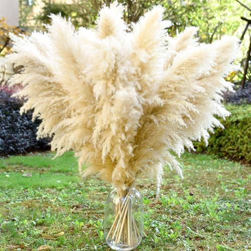 40" 11 PCS Dried Pampas Grass Decor Tall,Large Natural Beige pompas Grass,Tall Pampas Grass for Floor Vase,Wedding,Party,Farmhouse,Boho Home Decor,and Creating a Bohemian Ambiance | Amazon (US)