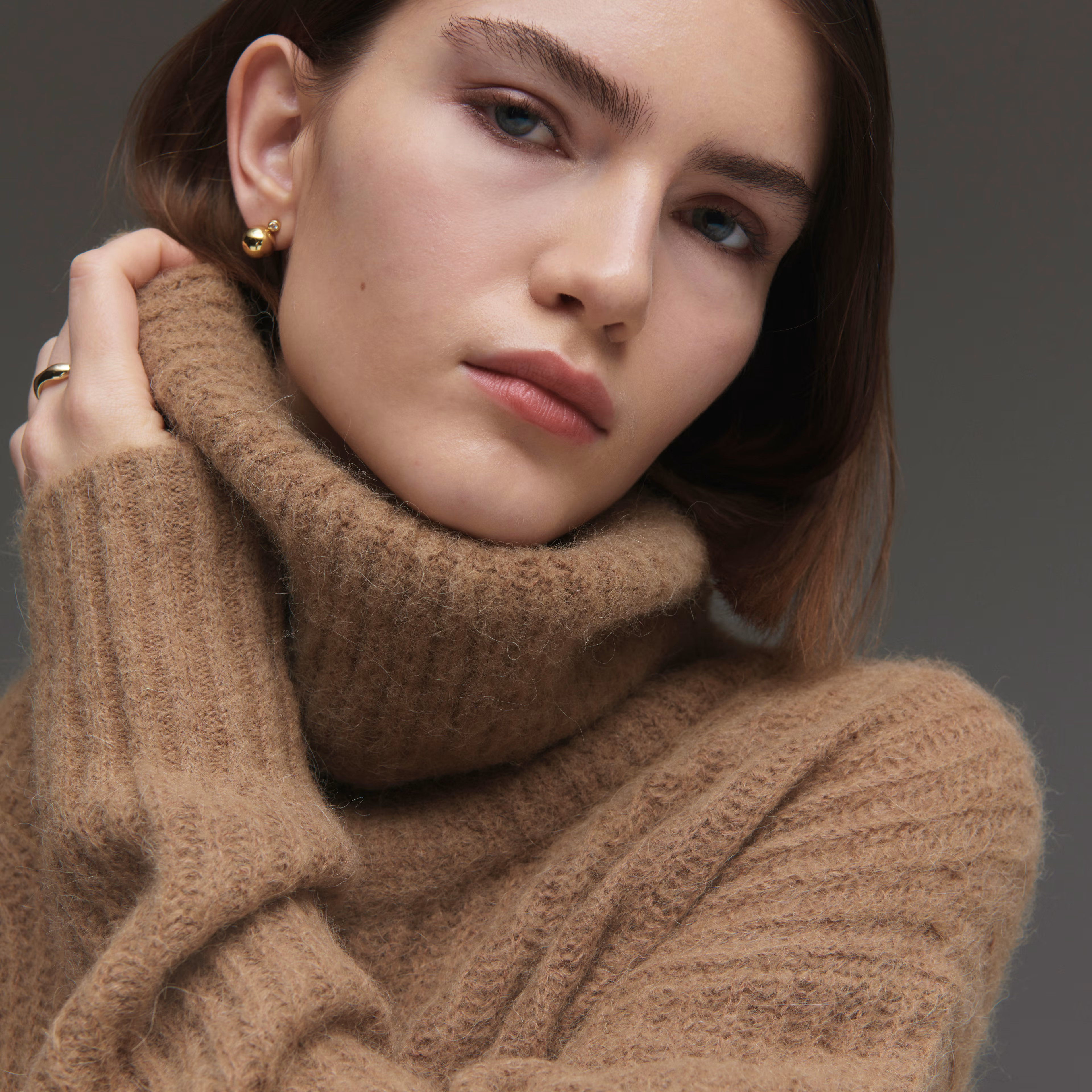 The Alpaca Oversized Turtleneck | Everlane