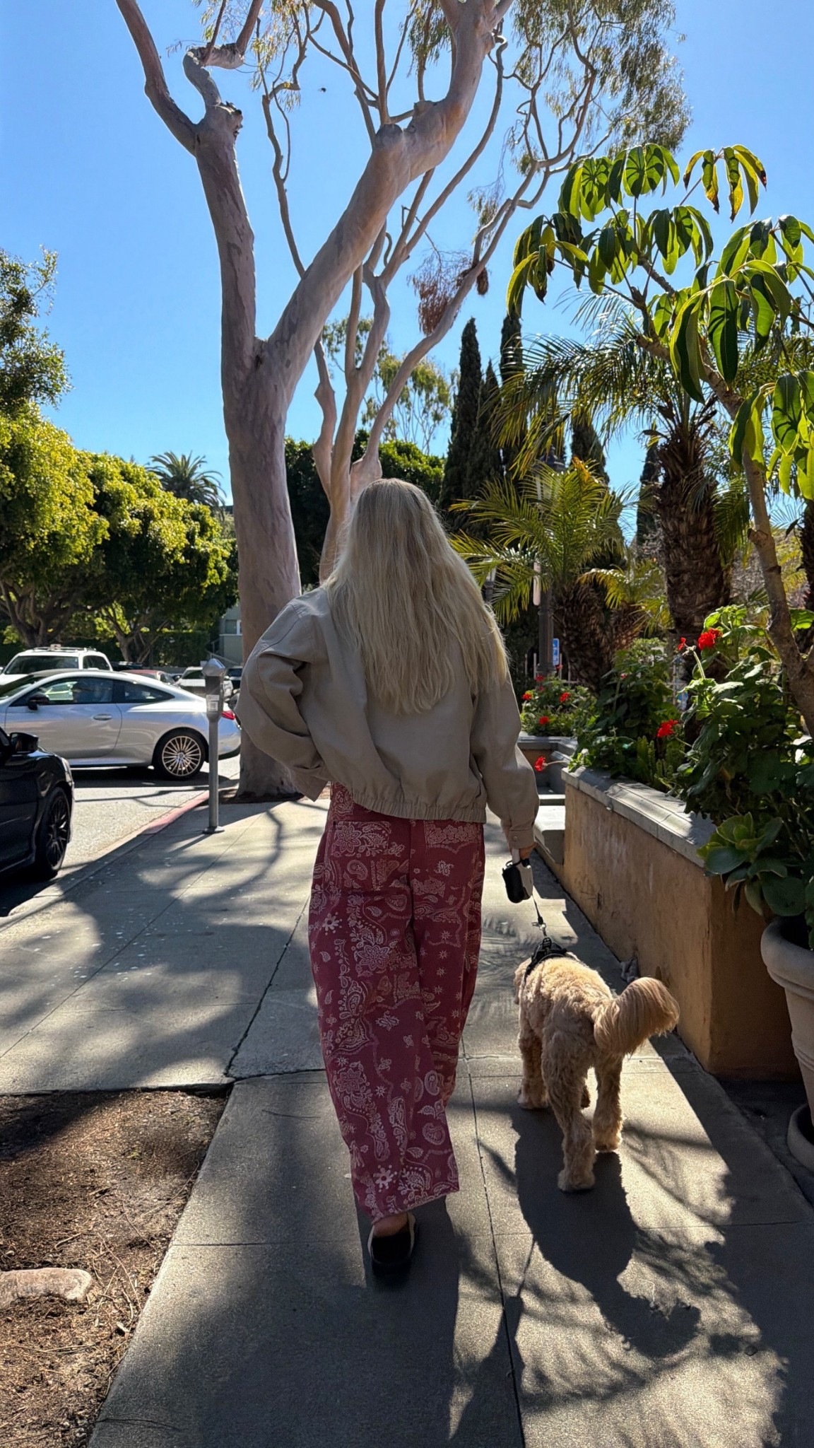 Wearing small in tee, 29 in pants (sized up 3 for pregnancy), medium in jacket, shoes are tts! #kathleenpost

Spring transition outfit, lunch date outfit, errands outfit, shopping day, coffee date



#LTKBump #LTKootd #LTKSeasonal