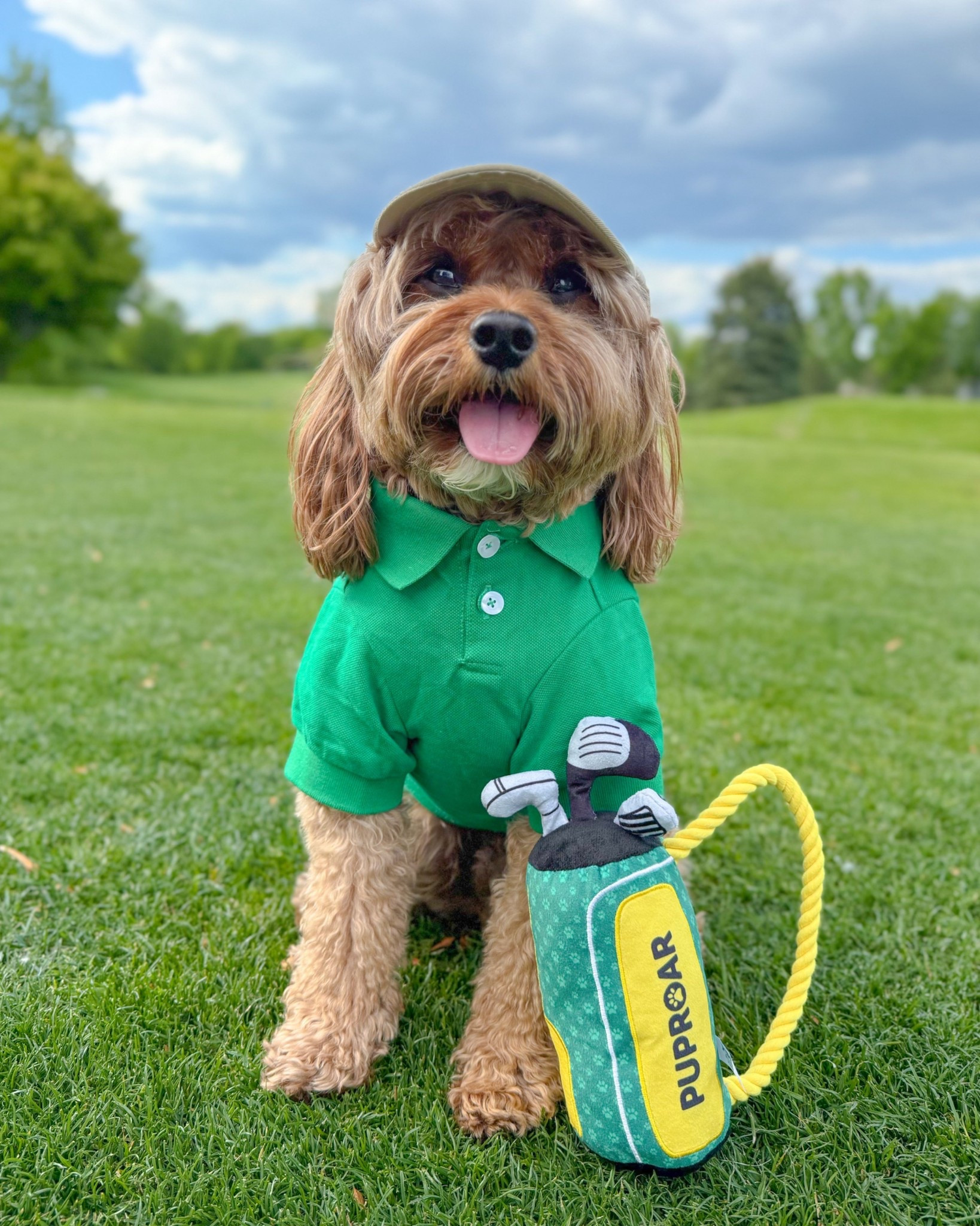 Does this fit make me look like a golf pro or what? ⛳️ Linked my fit 