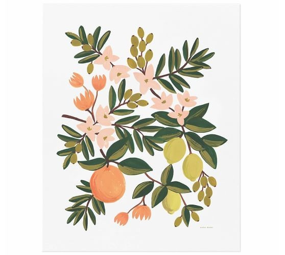 Citrus, Small | Pottery Barn (US)