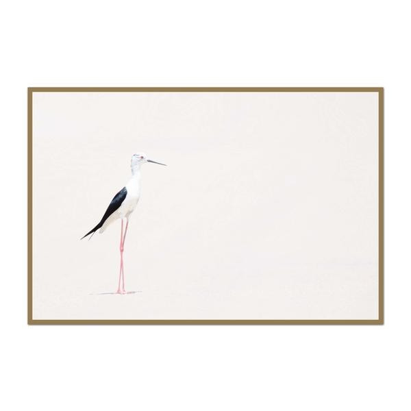 Minimalist Shorebird | Urban Garden Prints