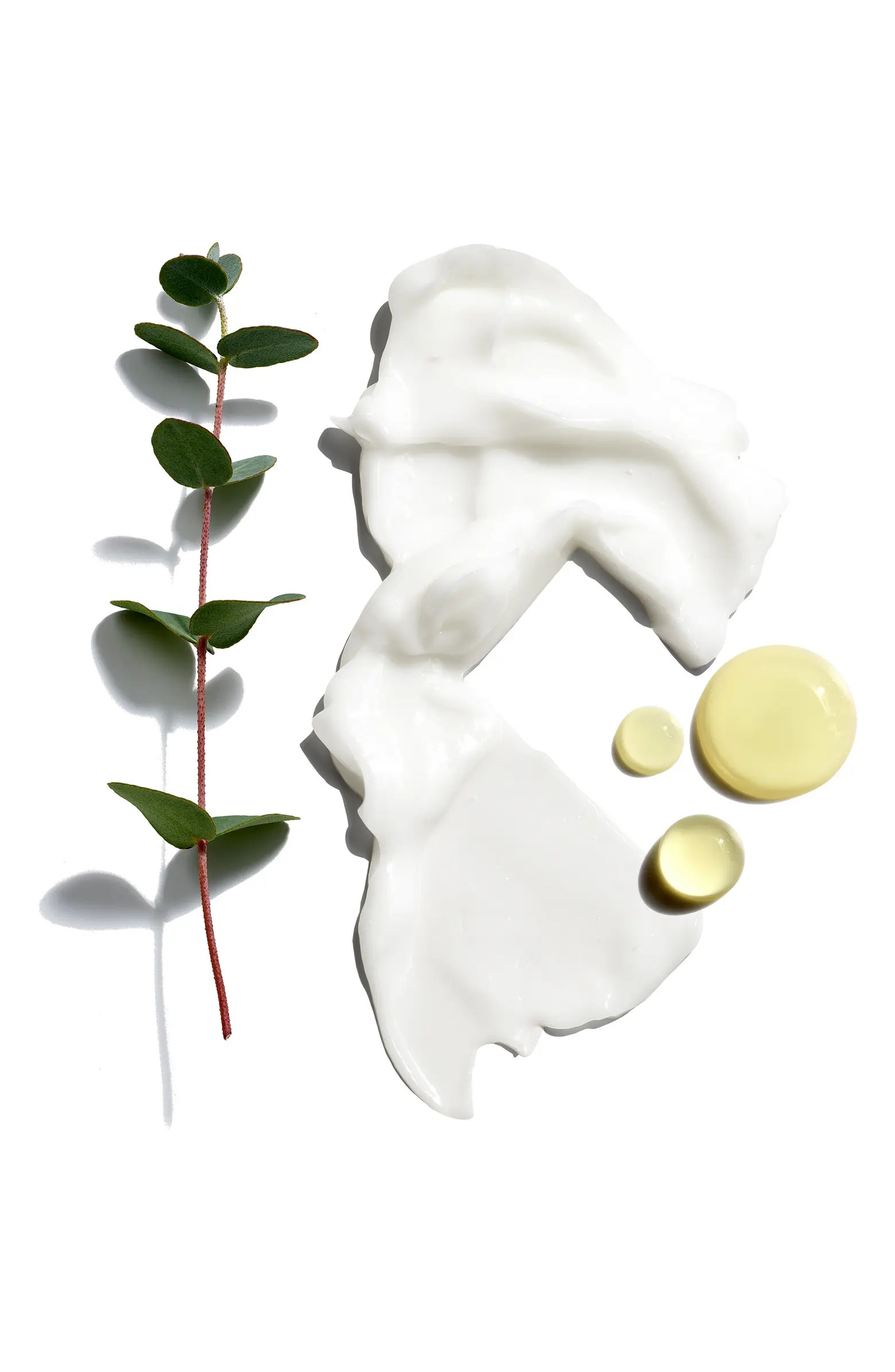 Beard Grooming Set USD $48 Value | Nordstrom