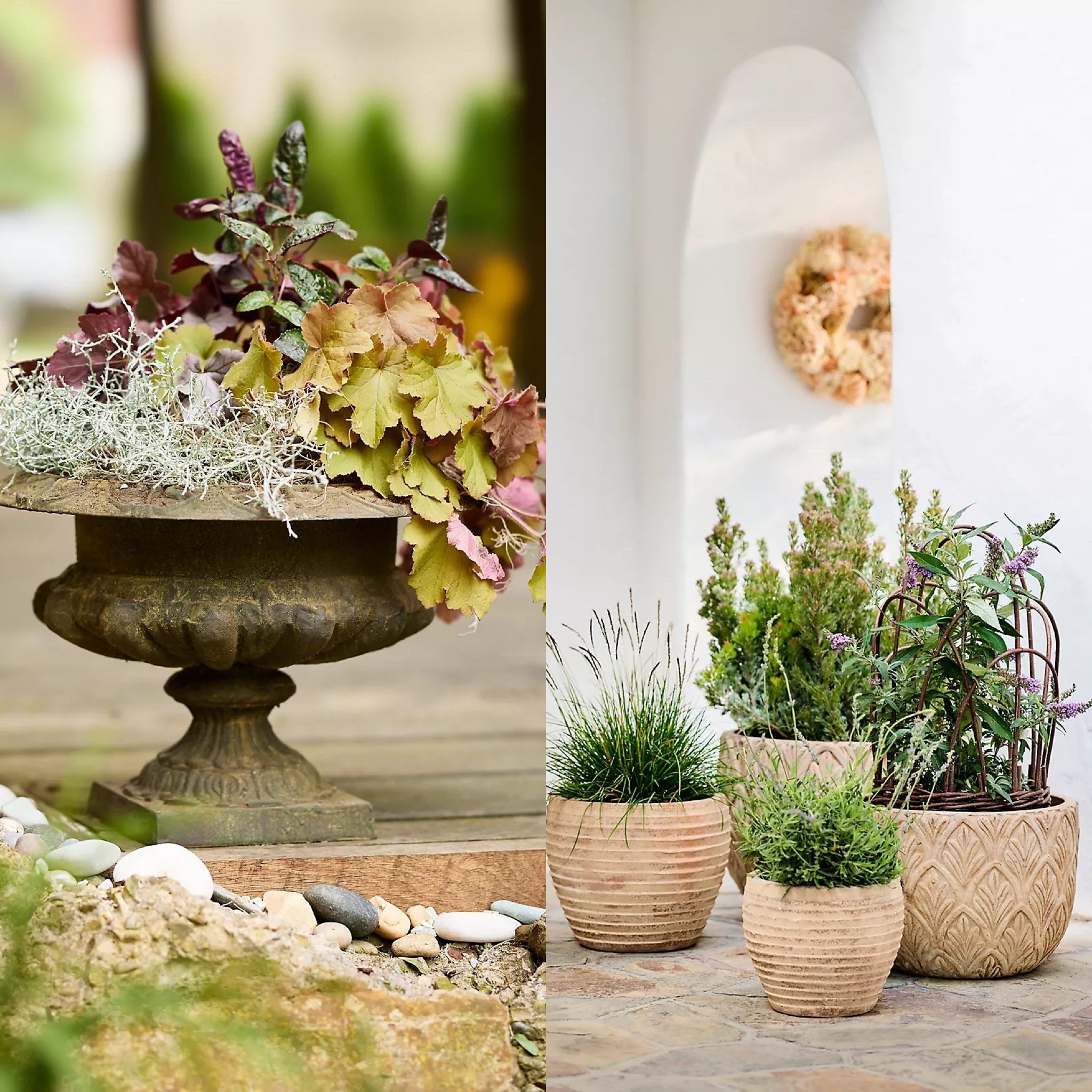Extra 50% off at Terrain—perfect time to refresh your planters.
#Terrain #SaleFinds #Planter #OutdoorDecor #HomeGarden

#LTKSaleAlert #LTKHome #LTKHoliday