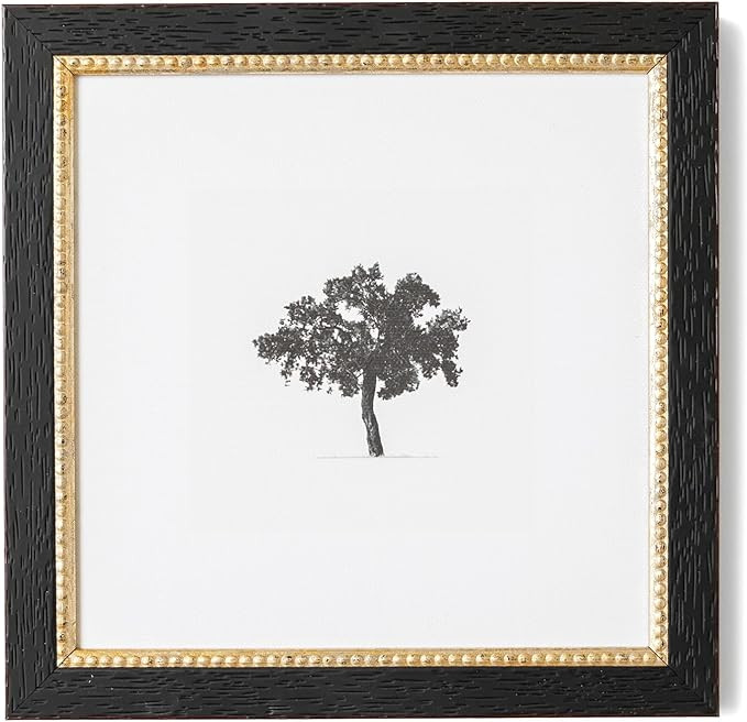 Petal Lane Tree Wall Art - Framed Antique Decor - Make Your Own Gallery Wall Frame Set - Dark Aca... | Amazon (US)
