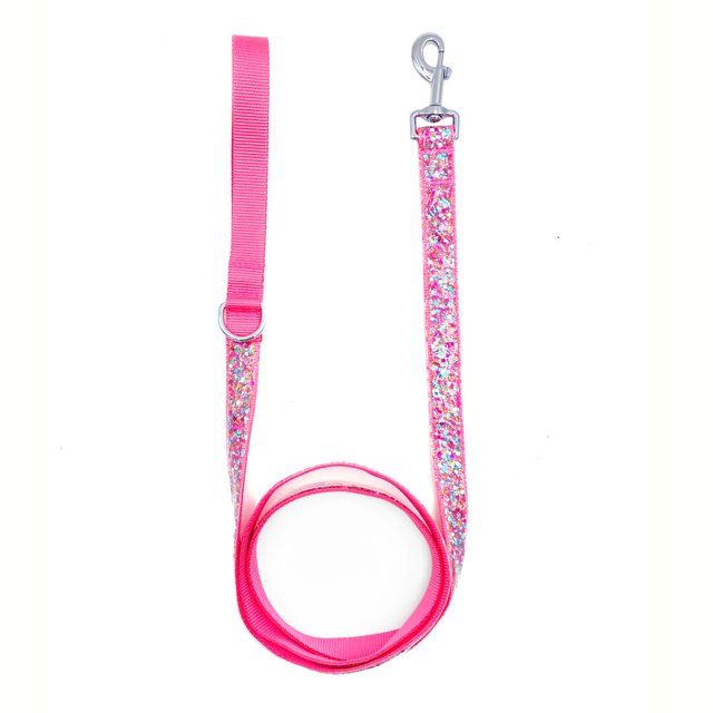 Packed Party Fashion Confetti Dog Leash, 6' | Walmart (US)