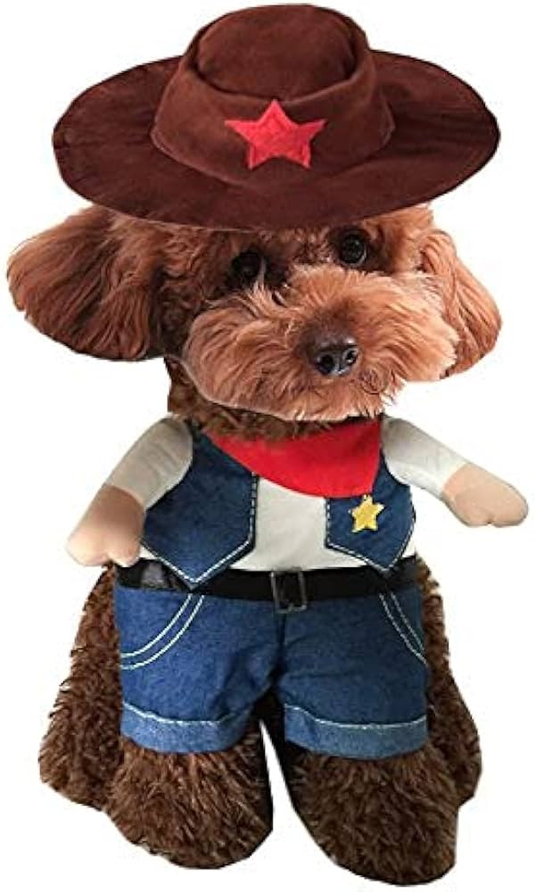 Hotumn Cowboy Dog Costume with Hat Dog Clothes Halloween Costumes for Cat and Small Dog(M) | Amazon (US)