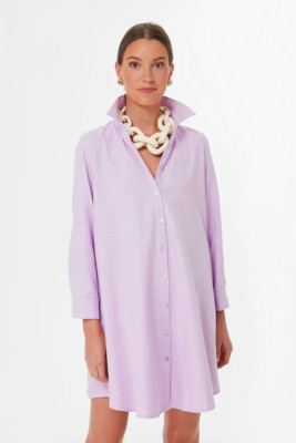 EUC Tuckernuck Pomander Place Lavender Oxford Harris Shirt Dress Size SMALL | eBay US