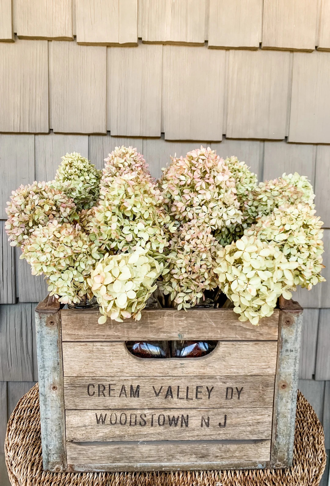 Dried Hydrangea stems, Fall flower decor, Wedding flowers, Fall table decor, Everlasting hydrange... | Etsy (US)