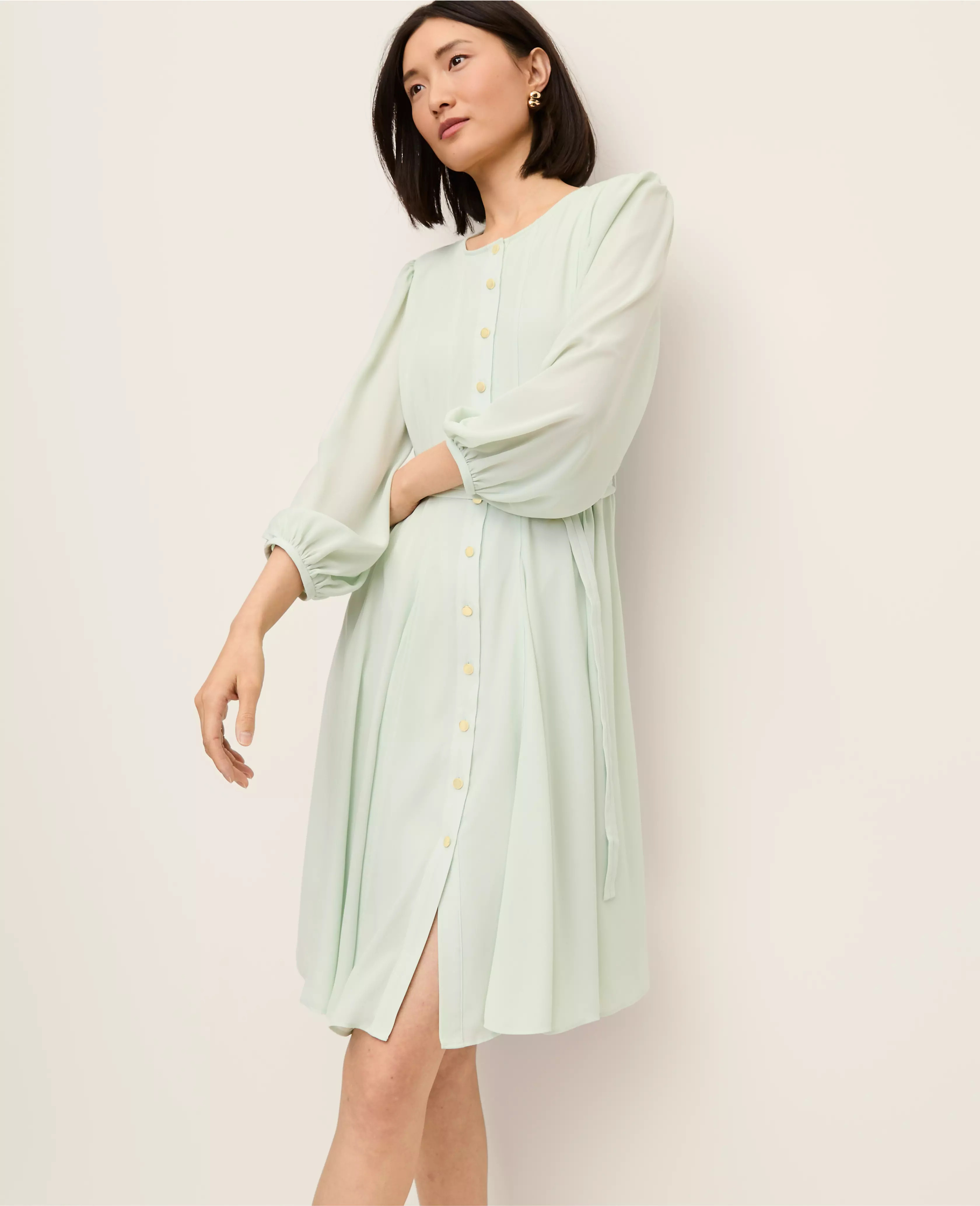 Belted Flare Dress | Ann Taylor