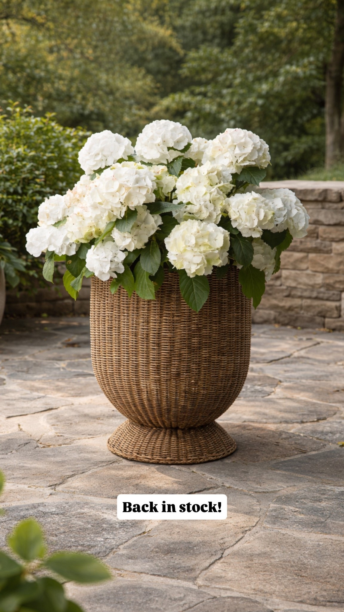 Pretty planter restocked! 

#LTKSeasonal #LTKHome