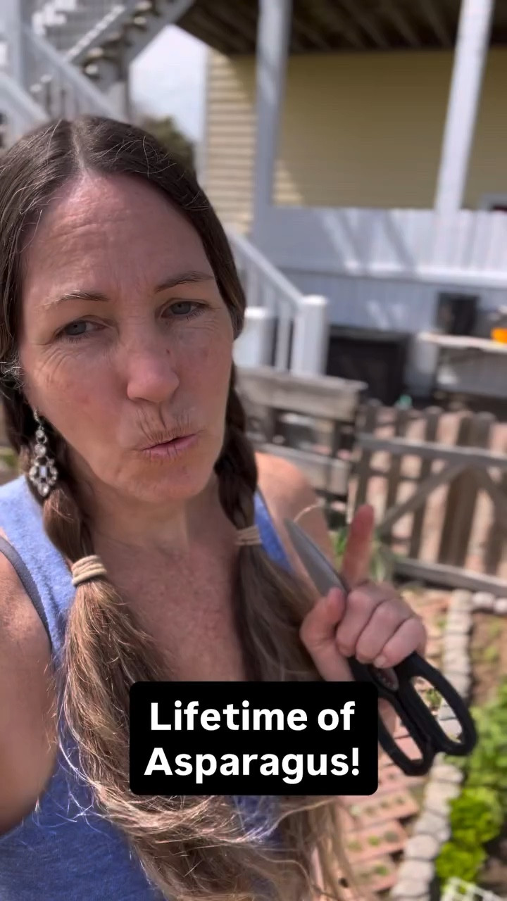 🌱 Why Every Organic Garden Needs Asparagus 🌱

• 🌿 Perennial powerhouse – Plant once, harvest for up to 20+ years

• 💪 Nutrient-rich superfood – Packed with fiber, folate & antioxidants

• 🌎 Low-maintenance crop – Thrives naturally with minimal intervention

• 🐝 Pollinator-friendly – Supports bees when plants flower

• 💧 Water-wise – Deep roots help it tolerate dry spells

• 🚫 Perfect for organic growing – Naturally pest-resistant with proper care

• 🥗 Delicious & versatile – Fresh, roasted, grilled, or tossed in salads

• 🌼 Early spring harvest – One of the first veggies ready each season

• ♻️ Sustainable gardening win – Reduces replanting & soil disturbance

👉 If you’re building a thriving organic garden, asparagus isn’t optional—it’s essential.

#OrganicGardening #GrowYourOwnFood #Asparagus #SustainableLiving