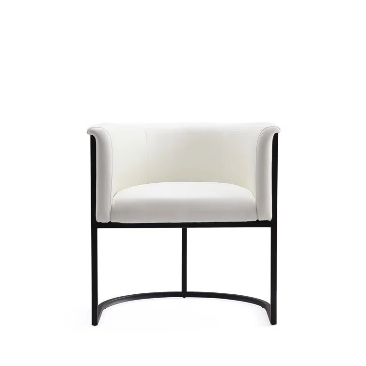 Alenia Arm Chair | Wayfair North America
