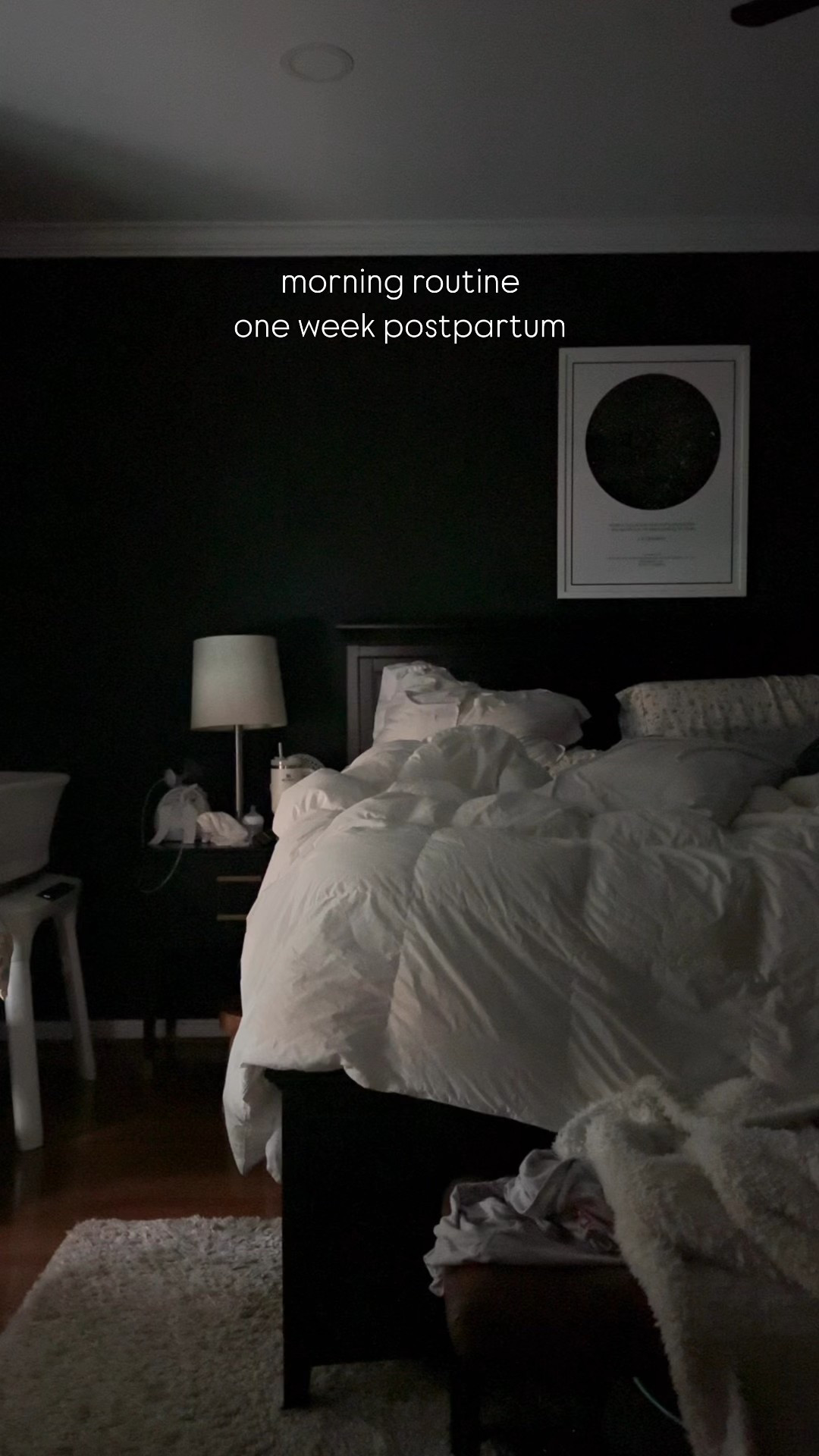 Spend the morning with me one week postpartum after six months of bed rest … it’s a whole new world. 

Linking all my favorites in this video in my LTK 🖤 Follow along for more! 

#postpartum #vlog #morning #newborn #toddler #teen #mom #momlife #routine #breastfeeding #pumping #momsofinstagram #momofthree #postpartumjourney 

#LTKFamily #LTKBaby #LTKWatchNow