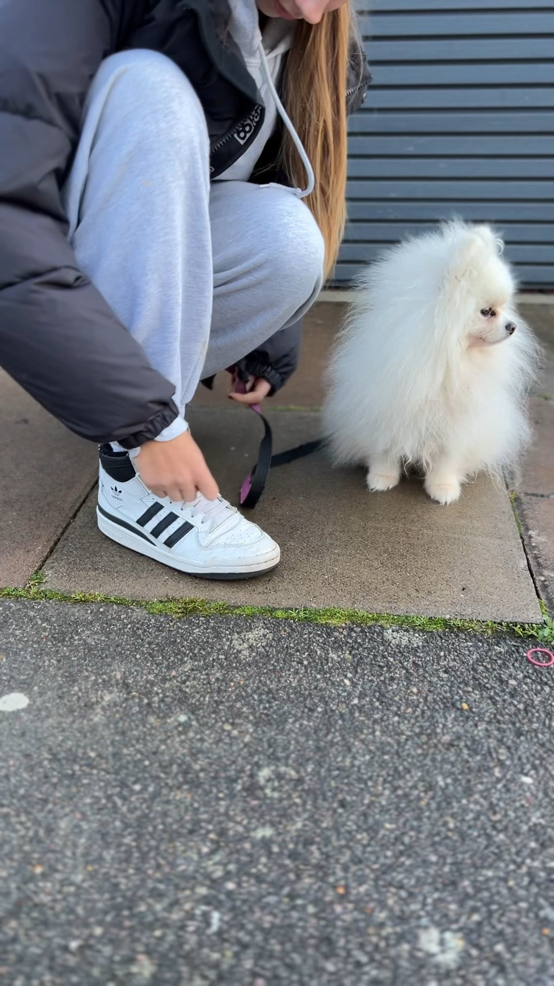 In focus for any season 
Summer-Winter 

#ltkxadidas #adidas #teenfashion

#LTKeurope #LTKfamily #LTKkids