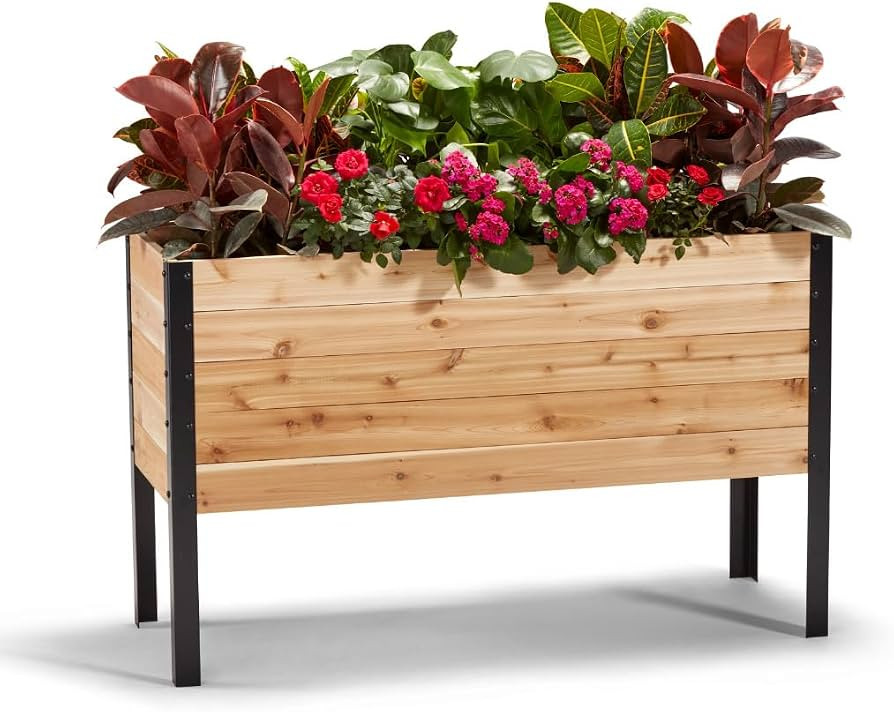 100% Canadian Cedar Wood Elevated Garden Bed for Gardening - Planter Pot to Grow Herbs Flowers, a... | Amazon (US)
