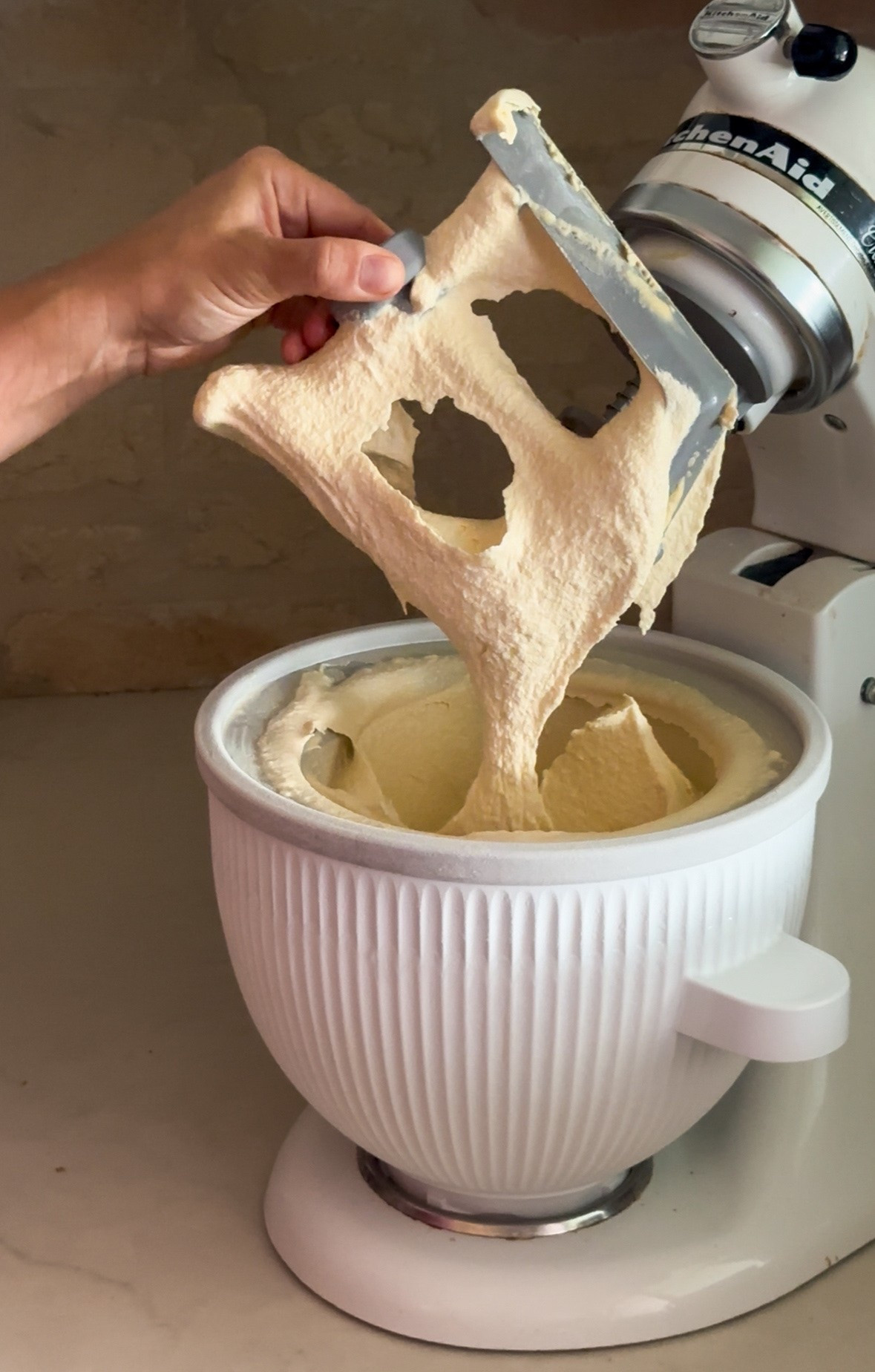 Homemade Ice Cream Essentials