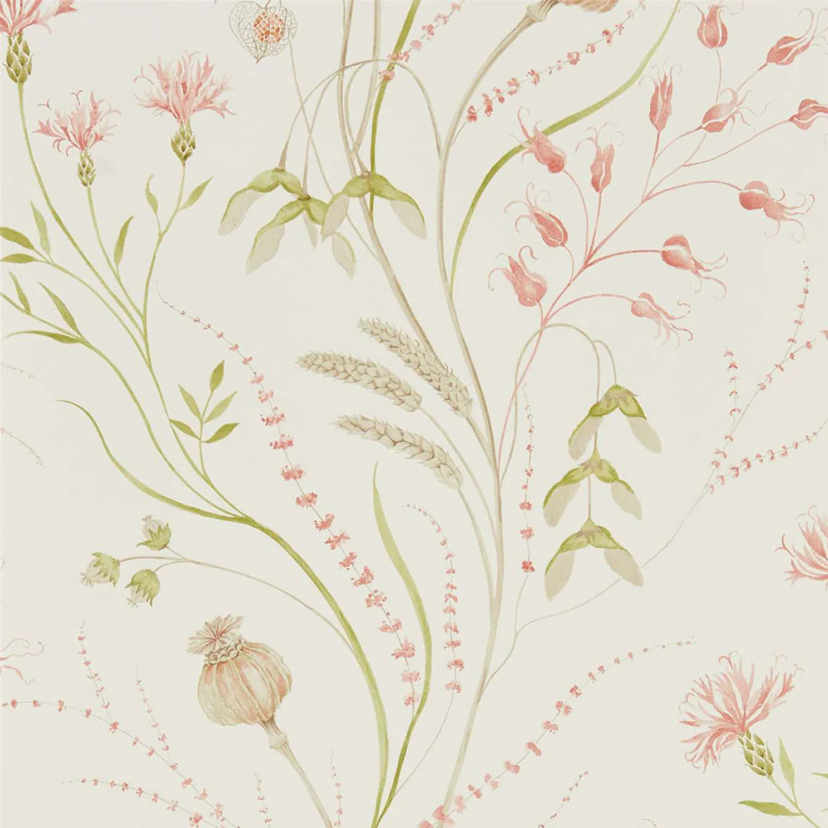 Summer Harvest Wallpaper | Monika Hibbs Home