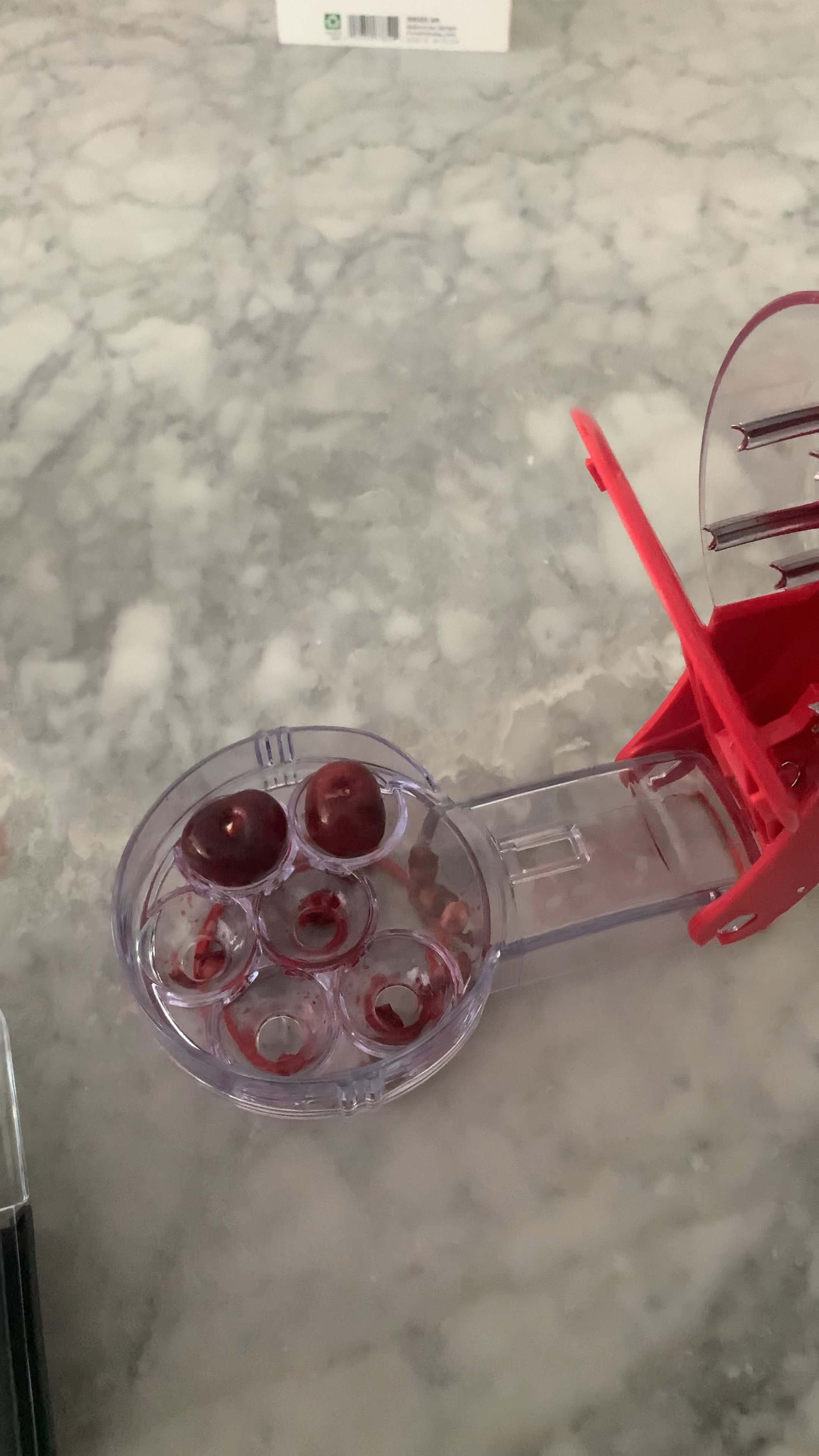 #LTKfamily #LTKSeasonal #LTKhome