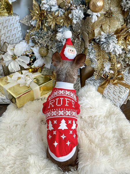 Ruff!

Ugly Christmas sweater, dog shirt, dog clothes 

#LTKSeasonal #LTKfamily #LTKHoliday