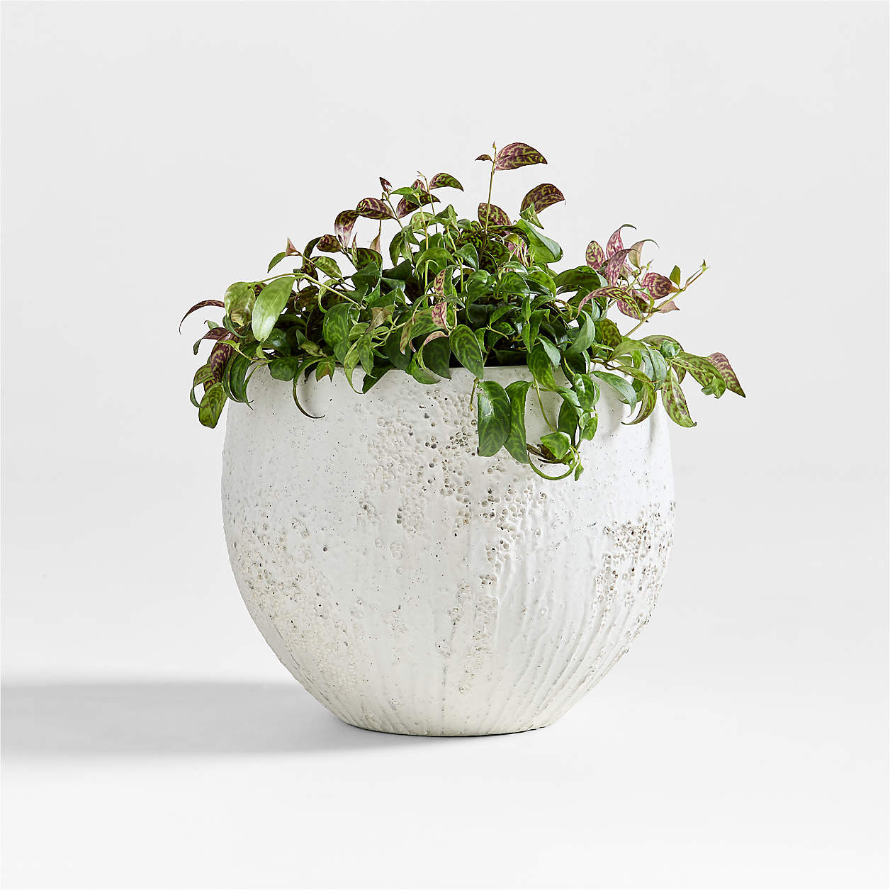 Messina White Textured Indoor/Outdoor Planter 15.7"x15.7" + Reviews | Crate & Barrel | Crate & Barrel