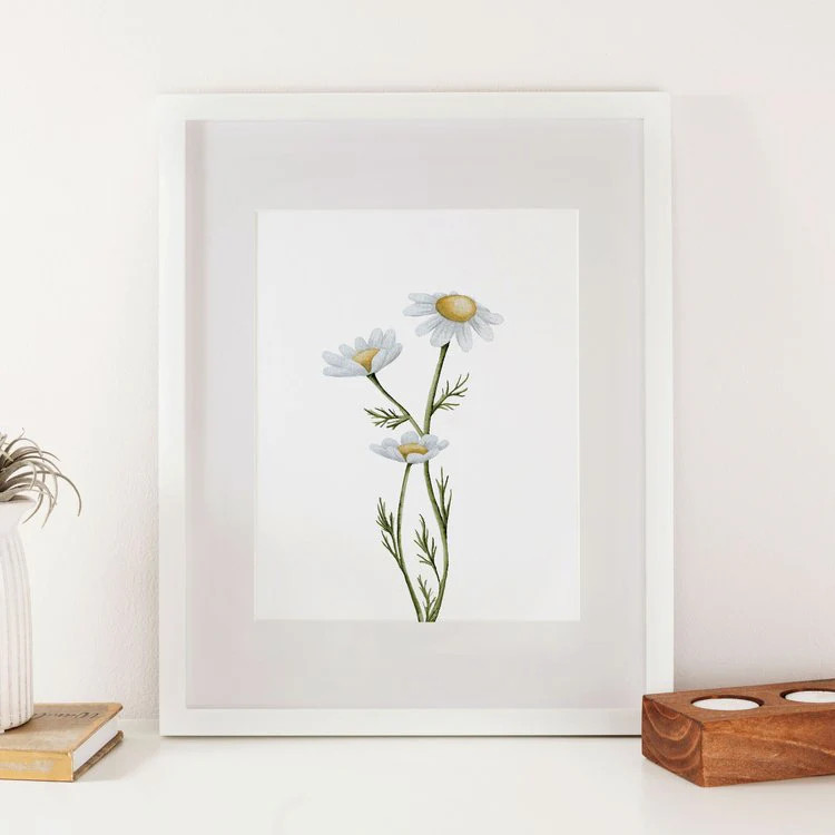 White Daisies Watercolor Print | Hyggelight  The Growing Candle