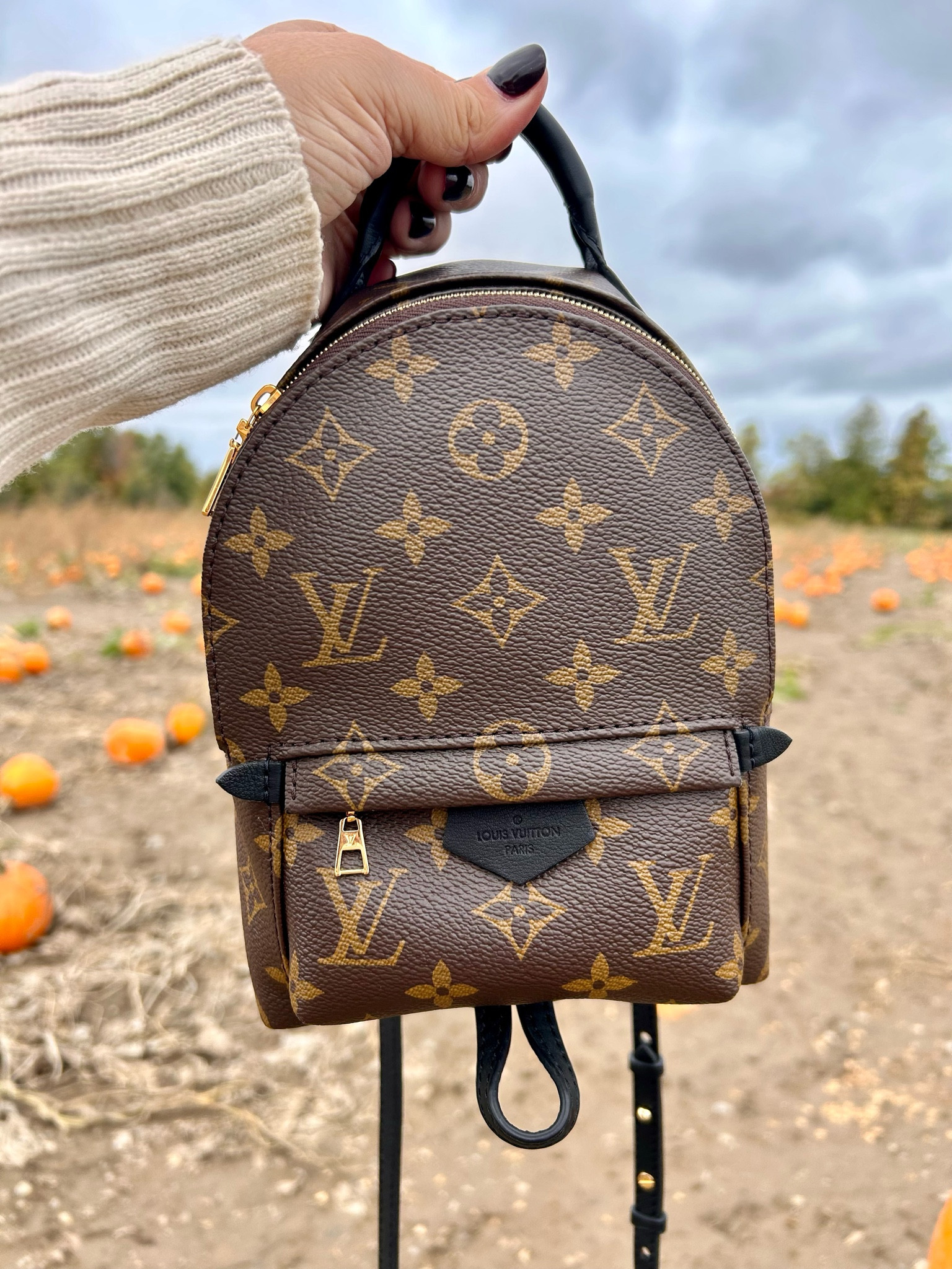 Louis Vuitton Palm Springs Mini

#LTKItBag #LTKStyleTip #LTKOver40