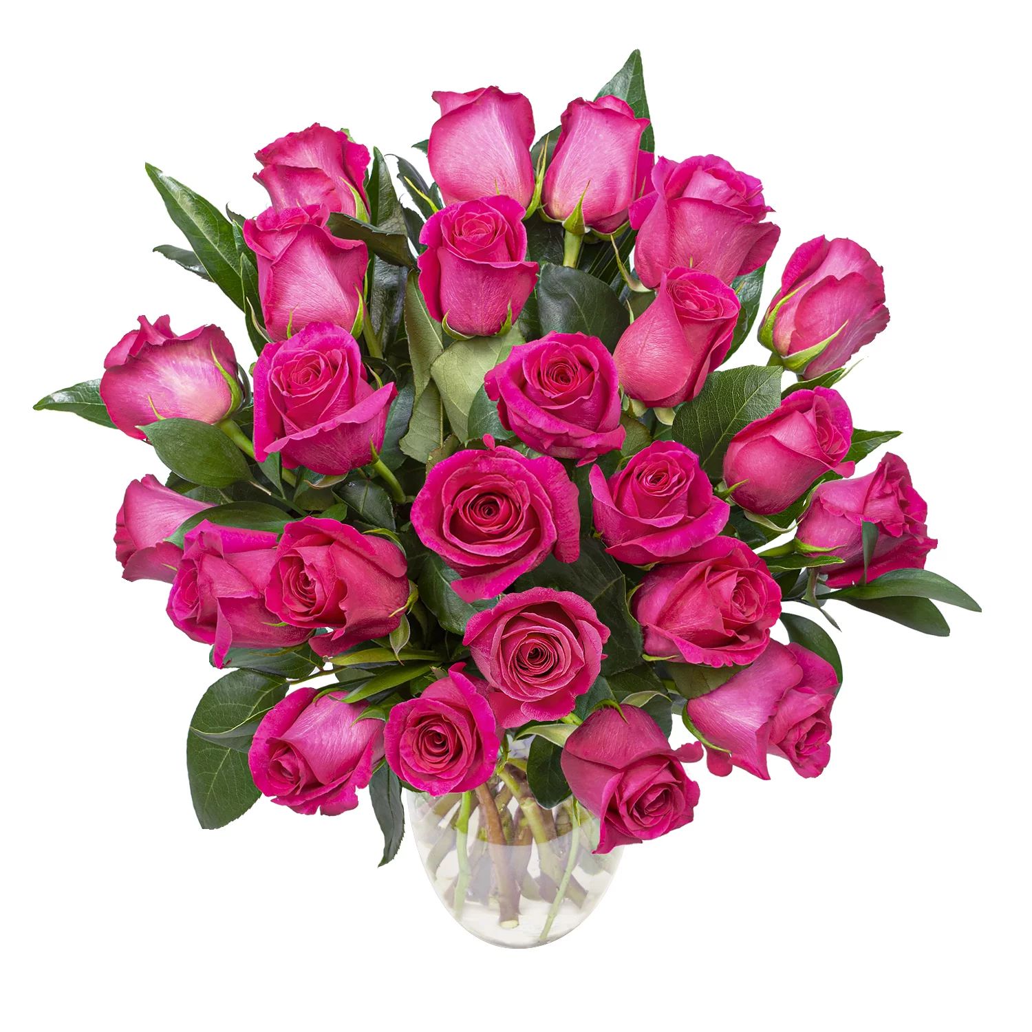 Valentine's Day, Hot Pink Roses with Premium Greens, Two Dozen, Vase Included | Walmart (US)