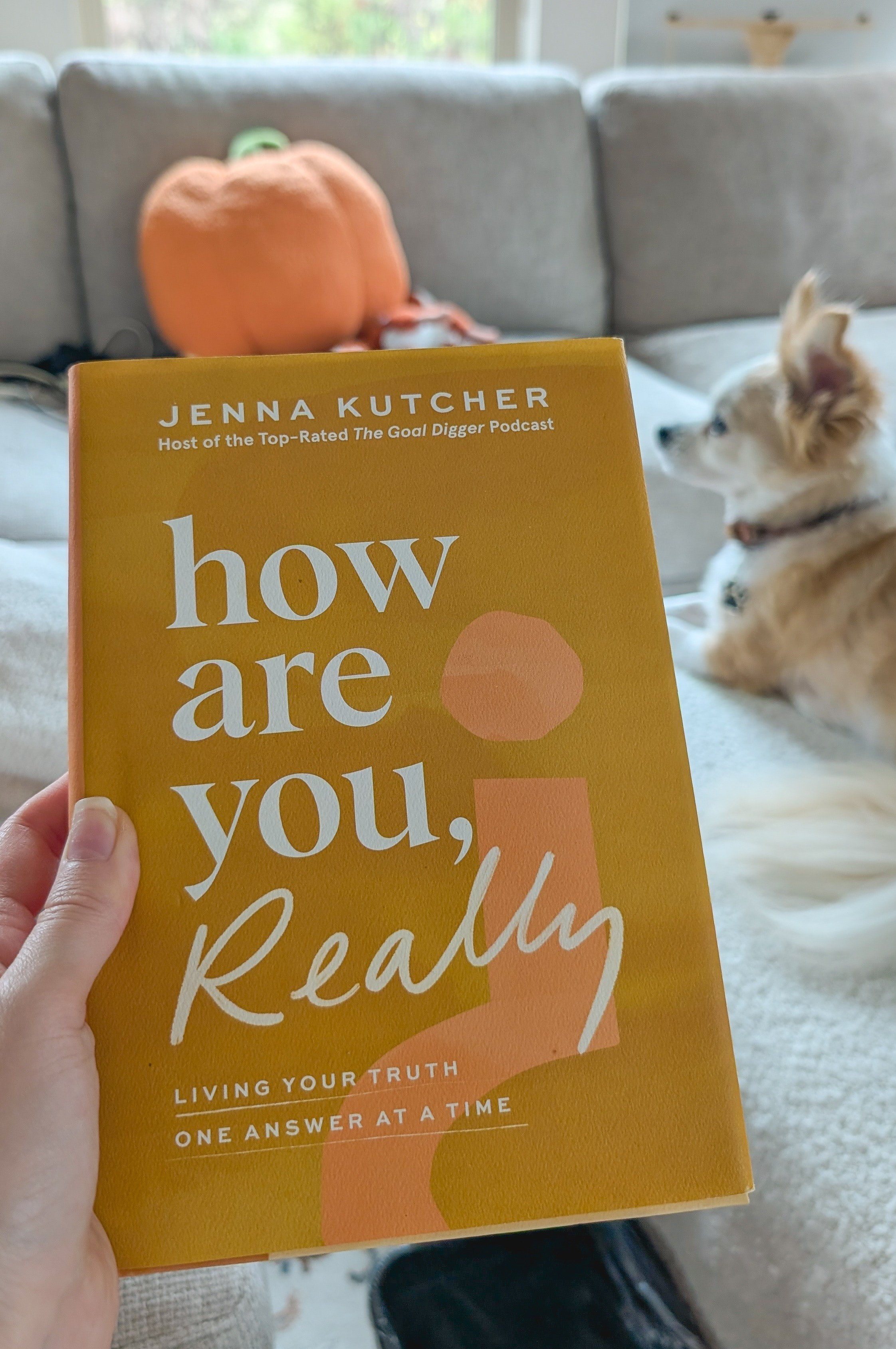 How Are You, Really? By Jenna Kutcher. A book for finding your truth. Pumpkin pillow decor.

#LTKHalloween #LTKHome #LTKFindsUnder50