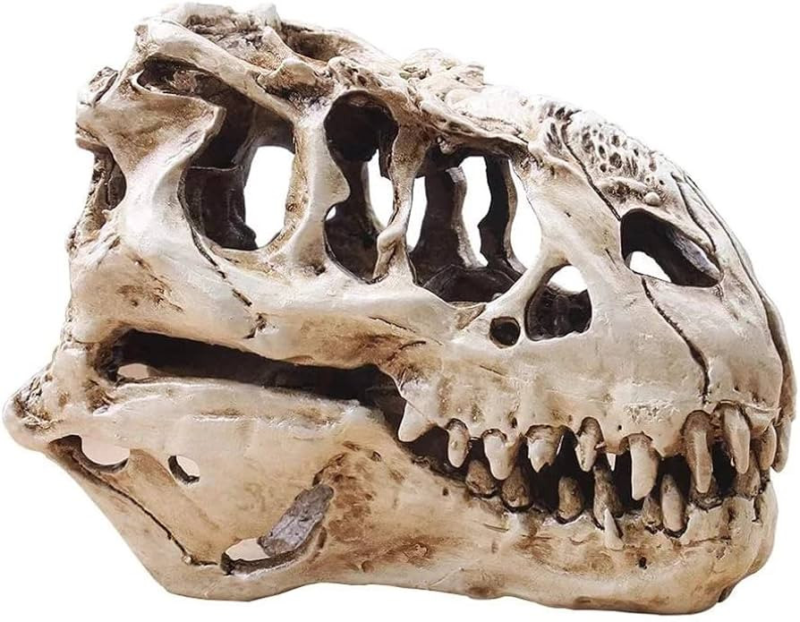 Tyrannosaur Skull T-Rex Skull Gifts Lifelike Resin Crafts Dinosaur Skull Fossil Teaching Skeleton... | Amazon (US)