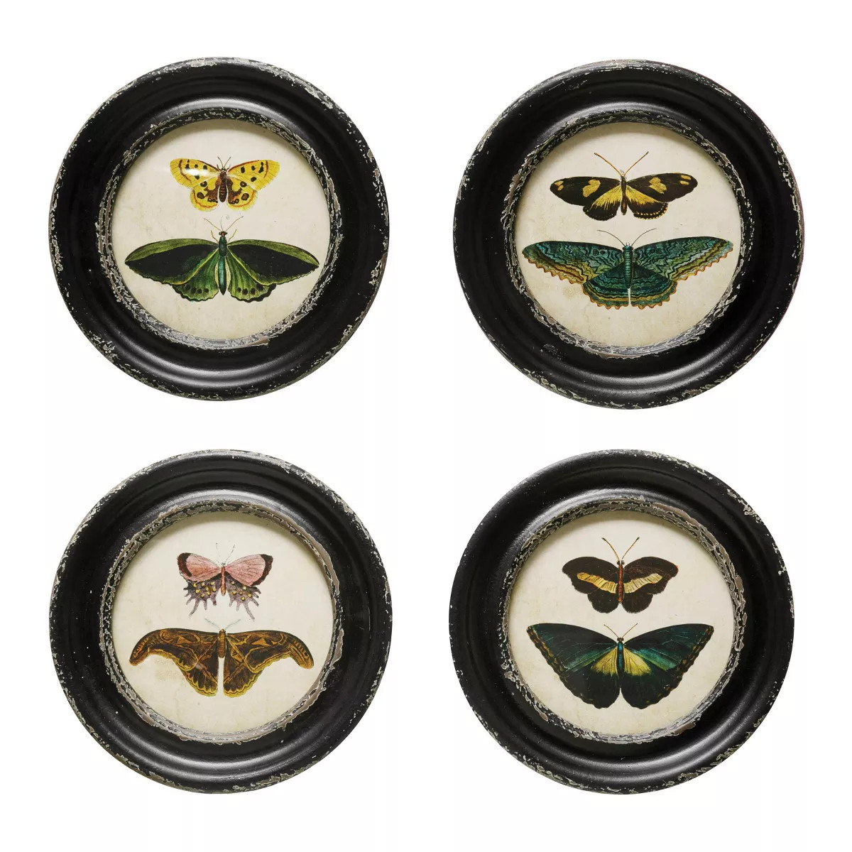 Storied Home (Set of 4) Moth and Butterfly Framed Wall Art Set | Target