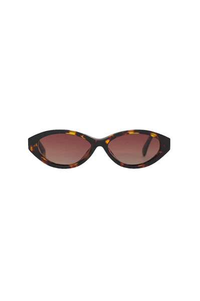 Paris Sunglasses | Penfield Collective
