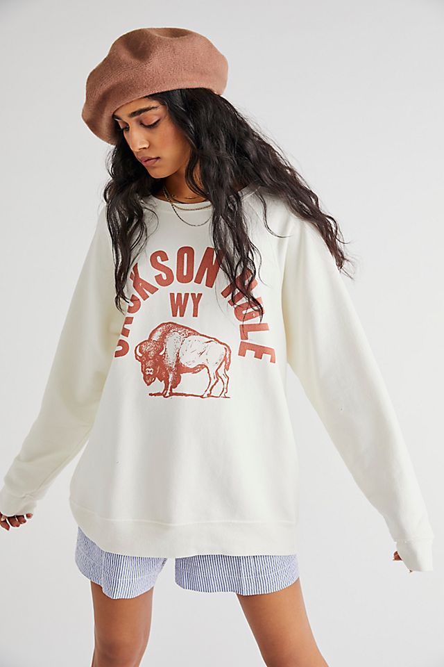 Jackson Hole Crewneck | Free People (Global - UK&FR Excluded)