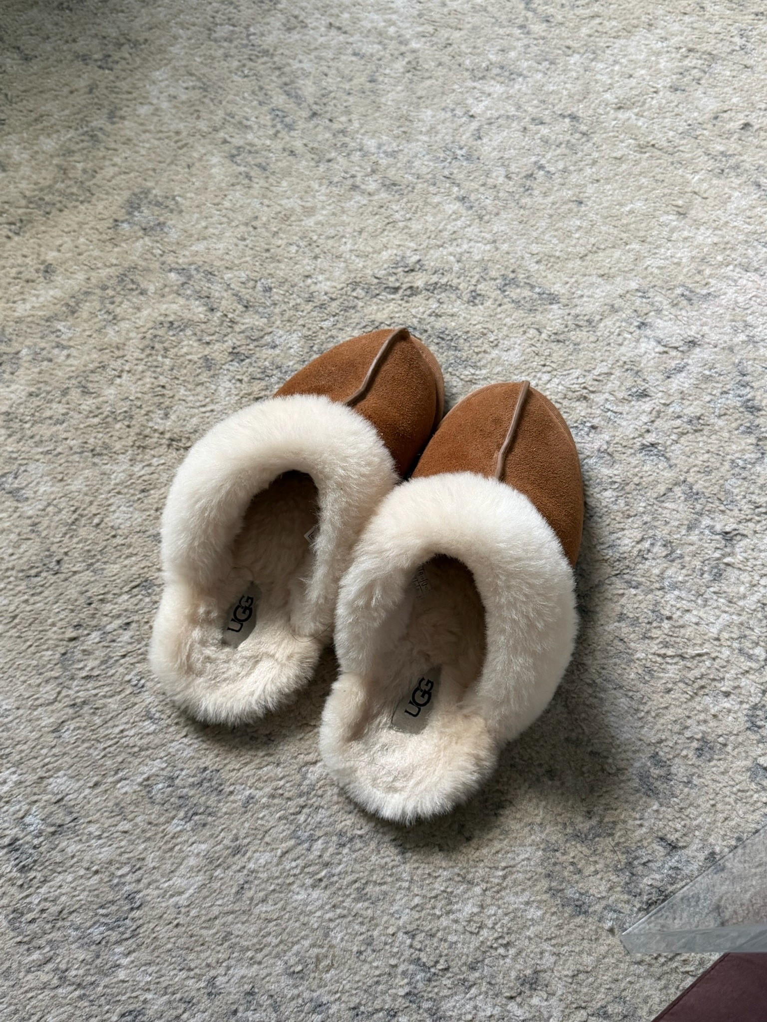 My favorite house slippers at the moment 🤍 So cozy!! 🔗

#LTKmorningroutine #LTKselfcare #LTKHome