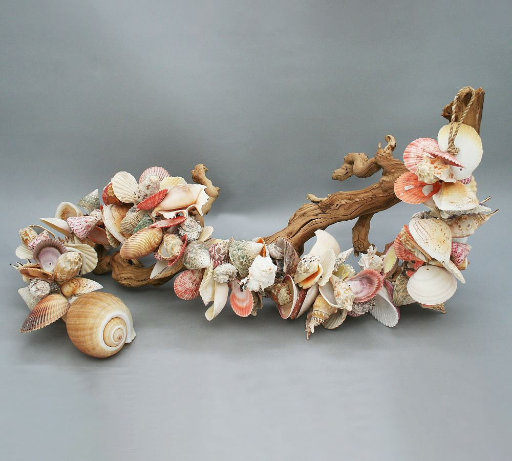 Assorted Shell Garland | Pottery Barn (US)