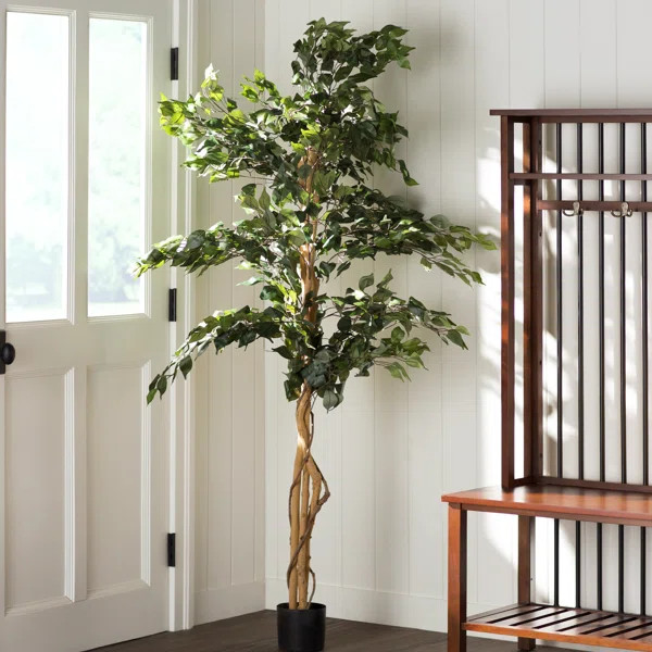 Faux Ficus Tree in Planter | Wayfair North America