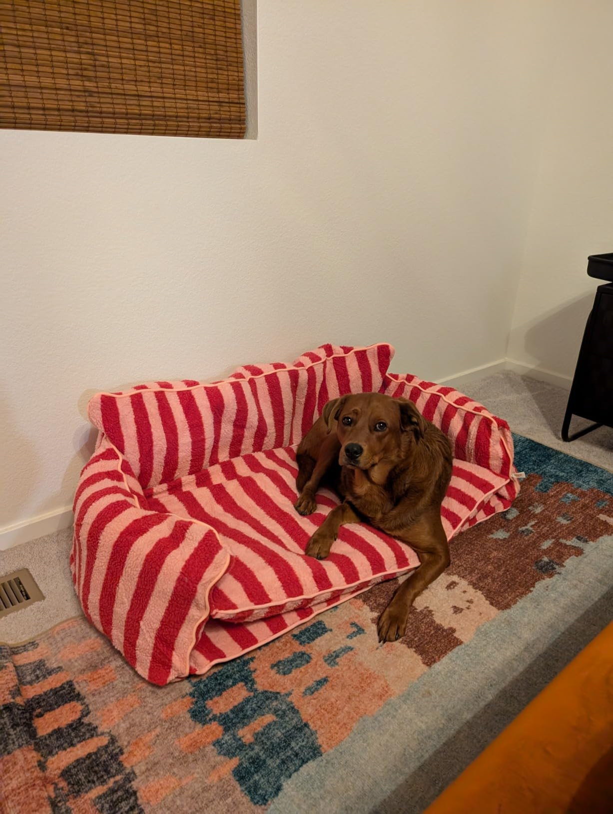 Striped Pet Bed, Pink Dog Bed, Dog Sofa Bed, Size 2… | Amazon (US)